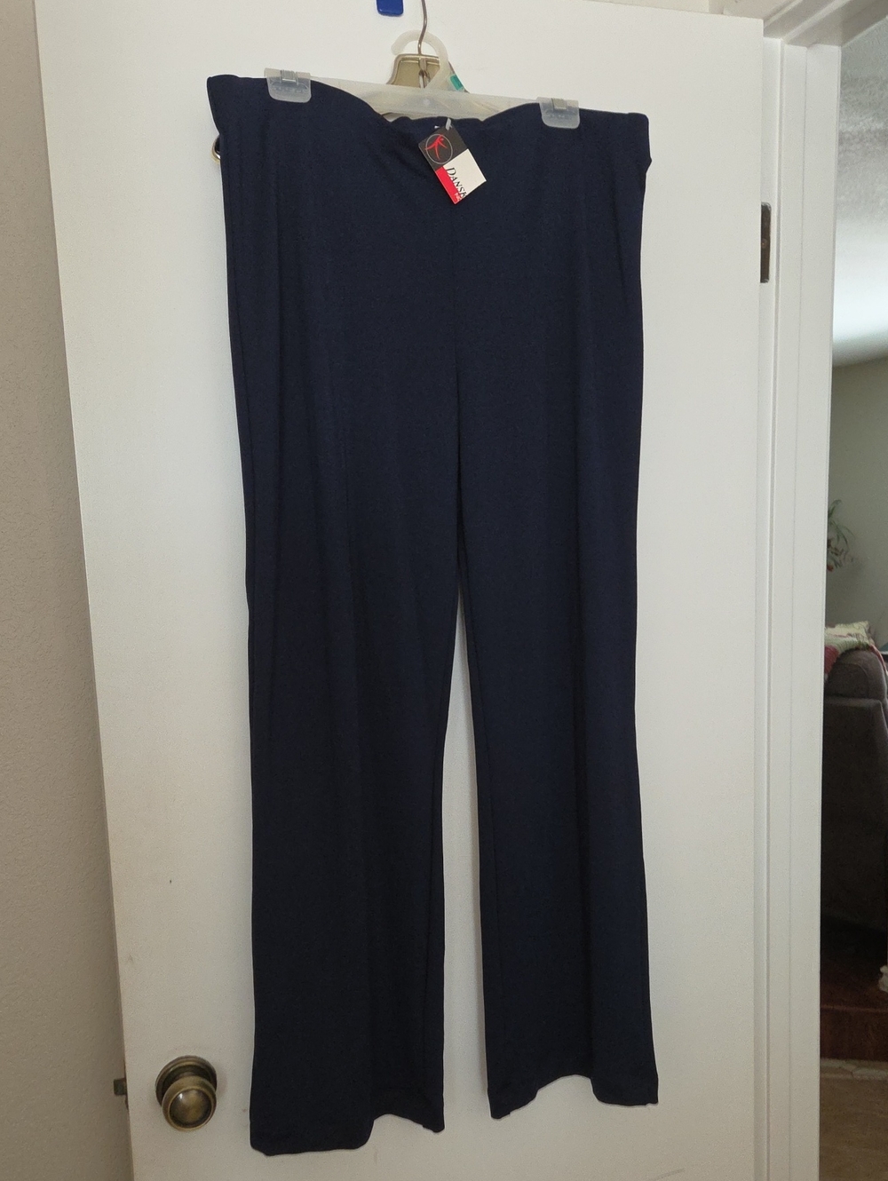 Danksi NOW Wide-Leg Urban Tech Pants in Navy